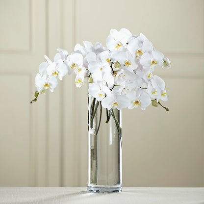 White Phalaenopsis Bouquet –  Valley Flower Shoppe, Waverly NY